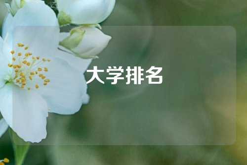 大学排名