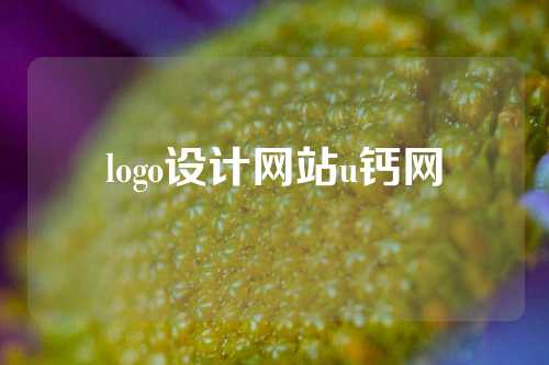 logo设计网站u钙网