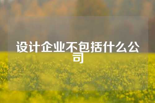 设计企业不包括什么公司