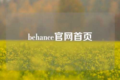 behance官网首页