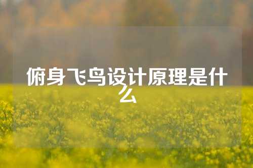 俯身飞鸟设计原理是什么