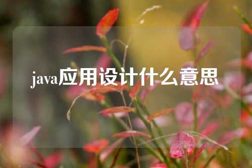 java应用设计什么意思