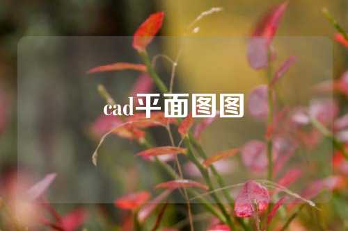 cad平面图图