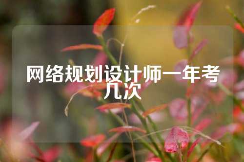 网络规划设计师一年考几次