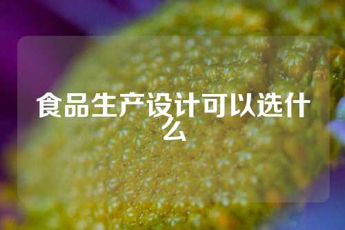 食品生产设计可以选什么