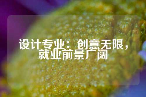 设计专业：创意无限，就业前景广阔