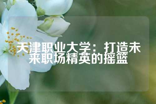 天津职业大学：打造未来职场精英的摇篮