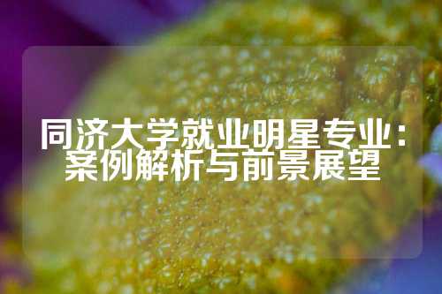 同济大学就业明星专业：案例解析与前景展望