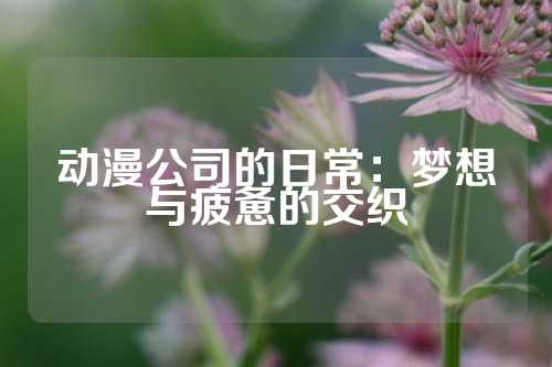 动漫公司的日常：梦想与疲惫的交织