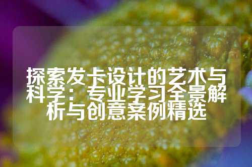 探索发卡设计的艺术与科学：专业学习全景解析与创意案例精选