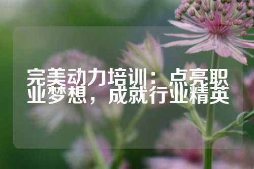 完美动力培训：点亮职业梦想，成就行业精英