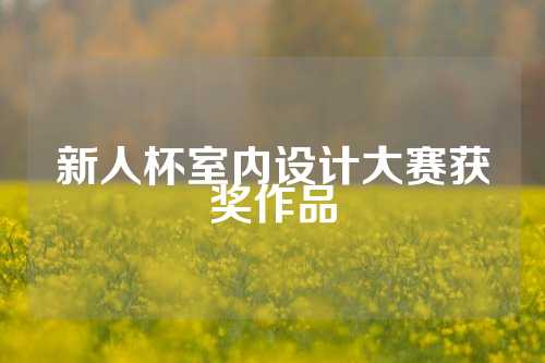 新人杯室内设计大赛获奖作品
