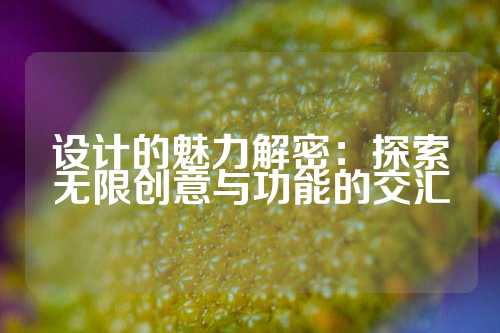 设计的魅力解密：探索无限创意与功能的交汇