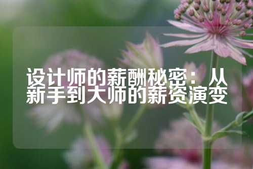 设计师的薪酬秘密：从新手到大师的薪资演变