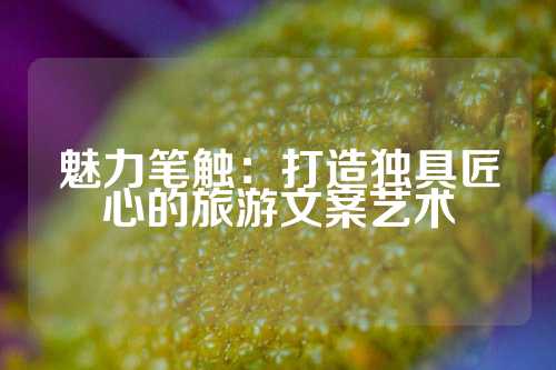 魅力笔触：打造独具匠心的旅游文案艺术