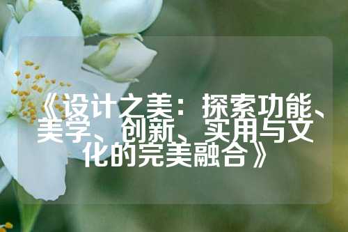 《设计之美：探索功能、美学、创新、实用与文化的完美融合》