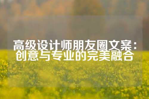 高级设计师朋友圈文案:创意与专业的完美融合