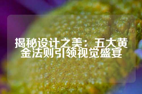 揭秘设计之美：五大黄金法则引领视觉盛宴