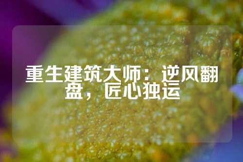 重生建筑大师：逆风翻盘，匠心独运