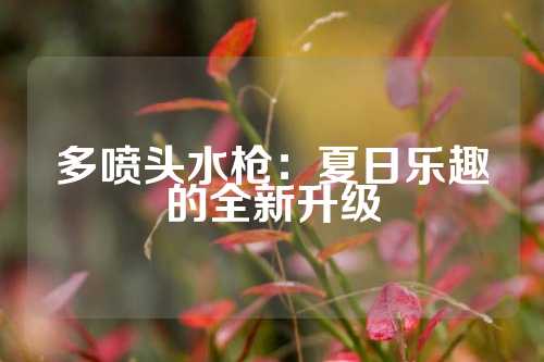 多喷头水枪:夏日乐趣的全新升级