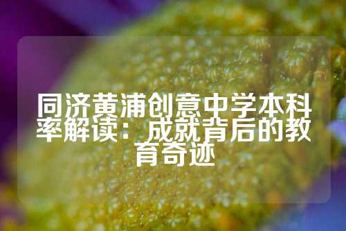 同济黄浦创意中学本科率解读：成就背后的教育奇迹