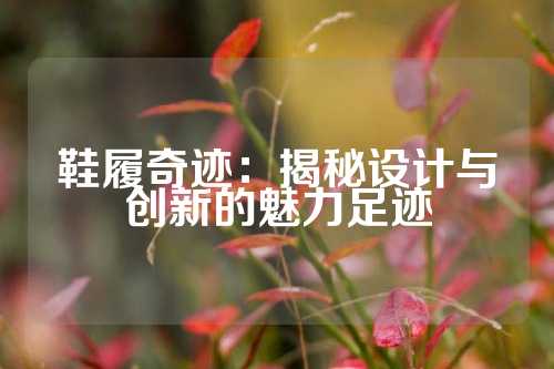 鞋履奇迹:揭秘设计与创新的魅力足迹