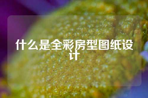 什么是全彩房型图纸设计