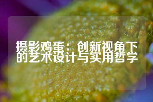 摄影鸡蛋：创新视角下的艺术设计与实用哲学