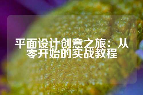 平面设计创意之旅：从零开始的实战教程
