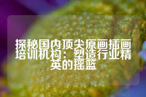 探秘国内顶尖原画插画培训机构：塑造行业精英的摇篮