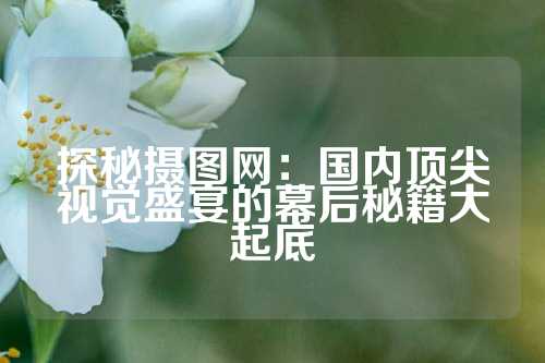 探秘摄图网：国内顶尖视觉盛宴的幕后秘籍大起底
