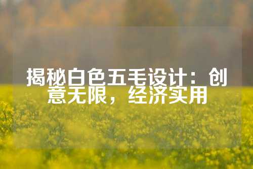 揭秘白色五毛设计：创意无限，经济实用
