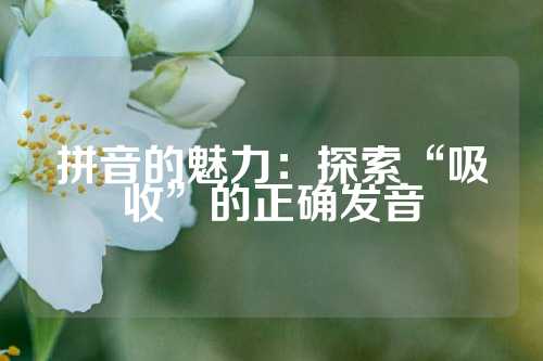拼音的魅力:探索“吸收”的正确发音