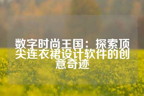 数字时尚王国：探索顶尖连衣裙设计软件的创意奇迹