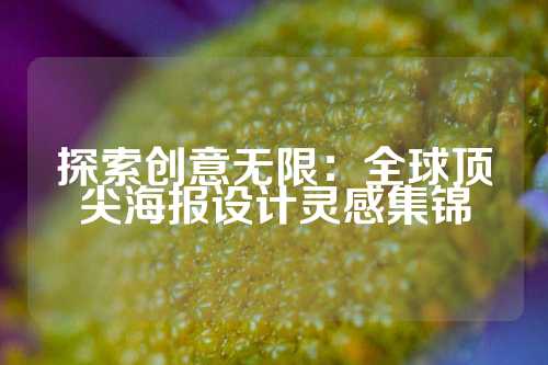 探索创意无限：全球顶尖海报设计灵感集锦