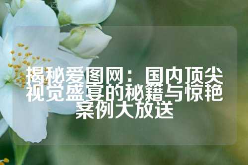揭秘爱图网:国内顶尖视觉盛宴的秘籍与惊艳案例大放送