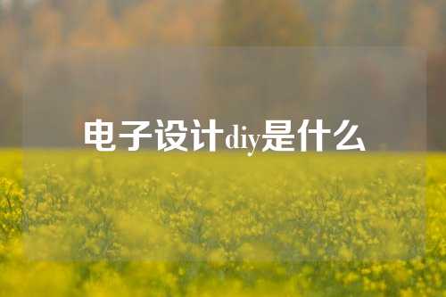 电子设计diy是什么