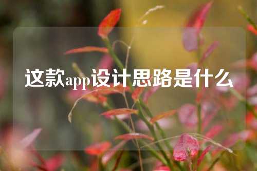 这款app设计思路是什么