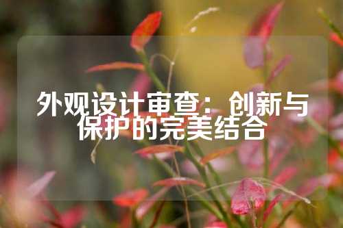 外观设计审查：创新与保护的完美结合