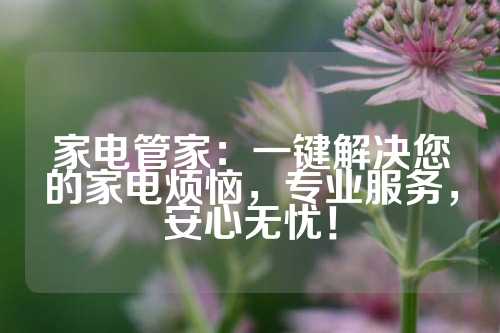 家电管家：一键解决您的家电烦恼，专业服务，安心无忧！