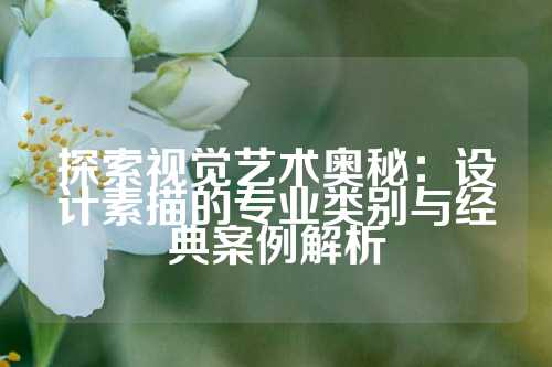探索视觉艺术奥秘：设计素描的专业类别与经典案例解析