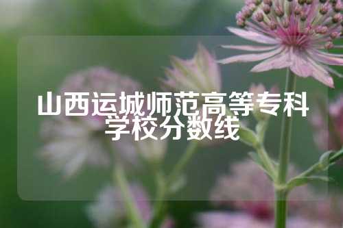 山西运城师范高等专科学校分数线