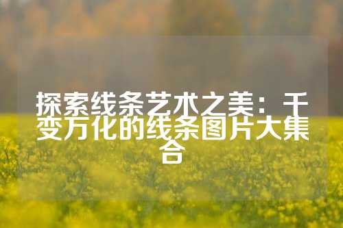 探索线条艺术之美：千变万化的线条图片大集合