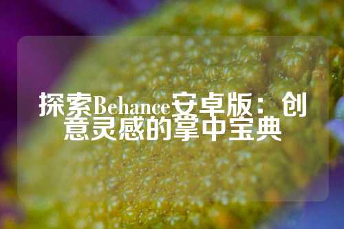 探索Behance安卓版：创意灵感的掌中宝典