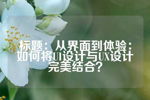 标题：从界面到体验：如何将UI设计与UX设计完美结合？