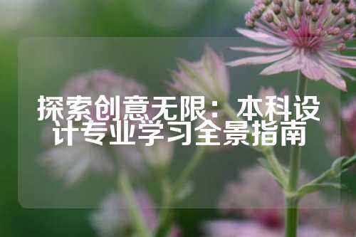 探索创意无限：本科设计专业学习全景指南