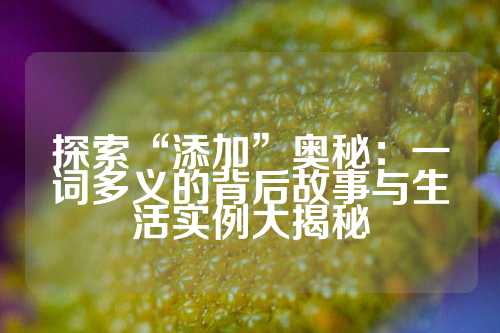 探索“添加”奥秘：一词多义的背后故事与生活实例大揭秘