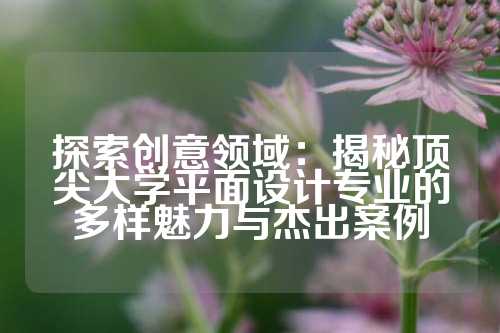 探索创意领域：揭秘顶尖大学平面设计专业的多样魅力与杰出案例