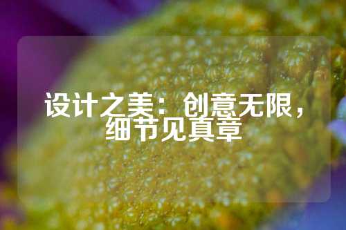 设计之美：创意无限，细节见真章