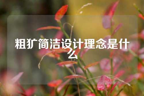 粗犷简洁设计理念是什么